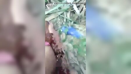 Секс із сільською подружкою на полі