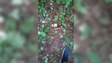Місце для зустрічей любителів сексу на природі в околицях Граца
