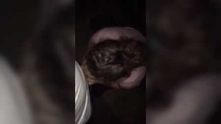 Dirtygirl614 робить мінет і займається сексом без презерватива з незнайомцем