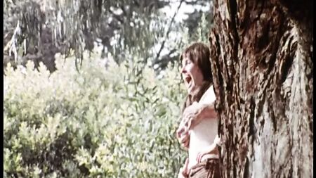 «На південь від кордону» (1976, США, повна версія, DVD-ріп)