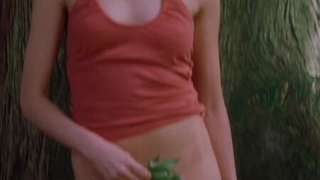 Ми тут більше не живемо (2004)
