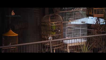 Рікі Ліндхоум — «Під Срібним озером» (2018)