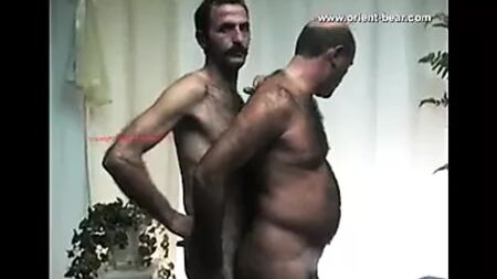 Орієнт-Беар