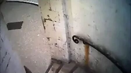 Відпочинок у котеджі