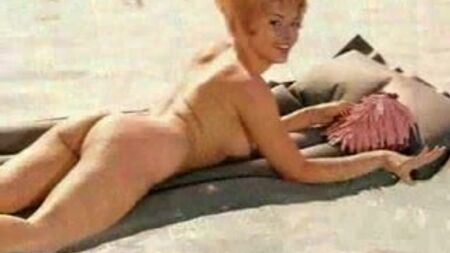 модель журналу «Playboy» 60-х років