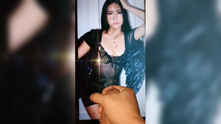 Австралійка азіатського походження — Брідді Лі — Подарунок сперми