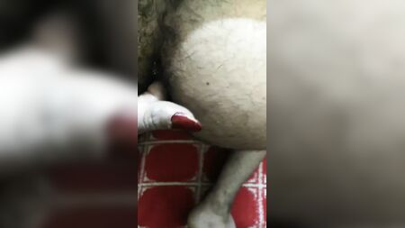 Господиня Єгипту