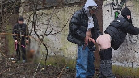 Крик переходить у тишу