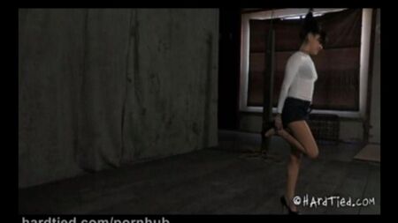 Розваги з елементами BDSM