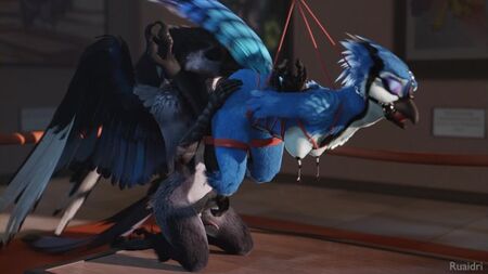 3D Yiff від ruaidri Фуррі-порно Секс E621 Жінка Птахи Бондаж БДСМ