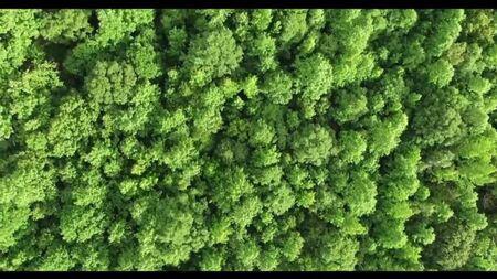 Відео від «Аудіо-розповіді». Історії зради. Історії з життя