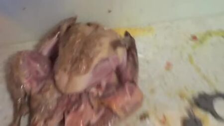 [HowToBasic] Як нафарширувати індичку