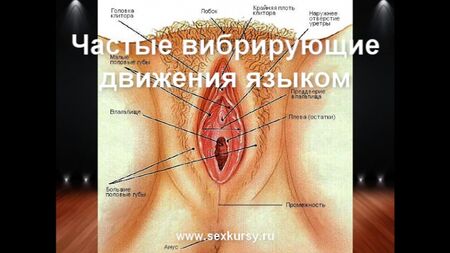 Як правильно робити куні, оргазм, анальний секс і мастурбація