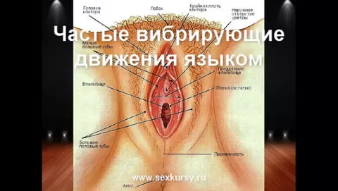 Анальная смазка