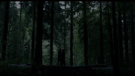 Збірка «Freier Fall» — The Irrepressibles — «Two Men in Love» (фан-відео)
