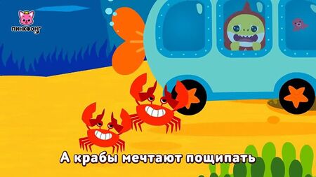 Акулятко туруру туру | +Збірка | Пісні про тварин | Родина акул |
