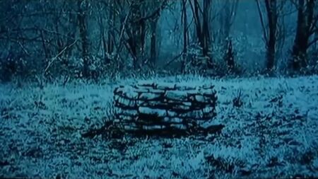 3D-монстр Садако_1080p «Дзвінок»: хентай за правилом 34 — порноролик