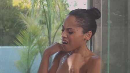 Bianca Lawson Nude - House Of Secrets (2014) HD 1080p Дивитися онлайн / Бьянка Лоусон - Будинок із секретом