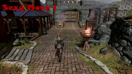 Виставка модів для Skyrim — FNIS Sexy Move