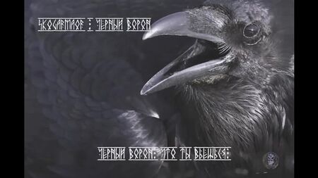 Skogarmaor — Black Raven (відео з текстом пісні)