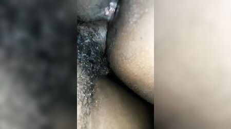 Грудне молоко тамільської тітки